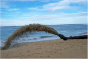 Slurry Systems Marine - Dredging Beach Sand